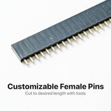 Lonely Binary 75-Piece 2.54mm Pin Header Kit, Male and Female 40-Pin Rows