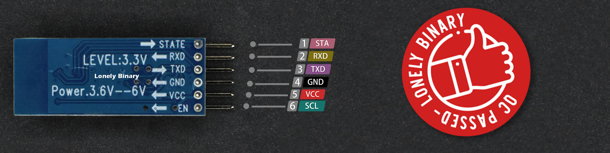 Lonely Binary Project Pinout